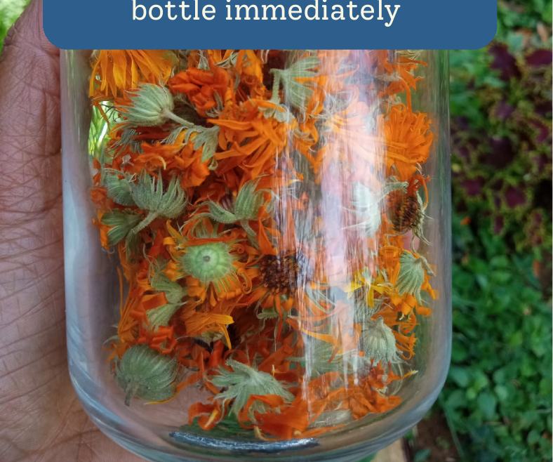 A glass jar of dried calendula flowers