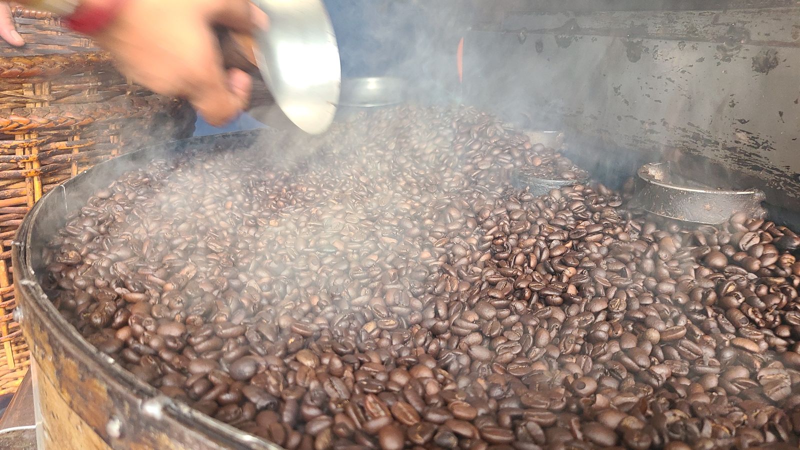 Coffee beans turning in our old roasting machine