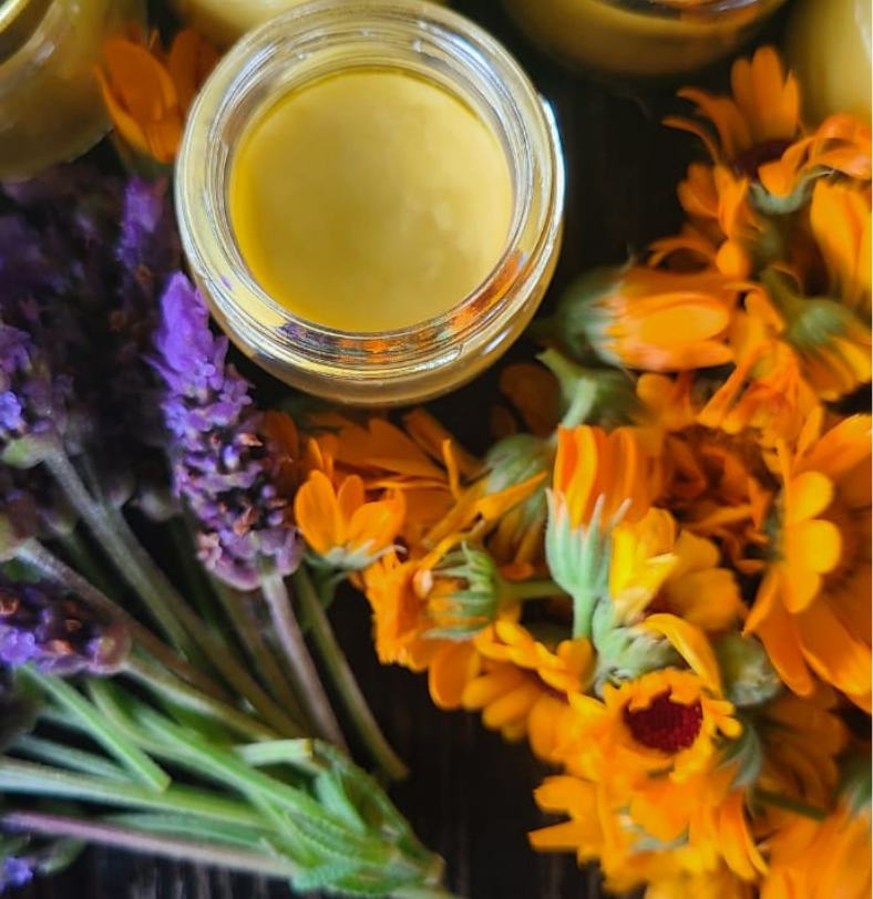 A jar of calendula salve among calendula and lavender