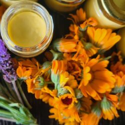 Healing Calendula Skin Salve with Lavender - 30 ml